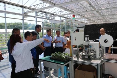 技术推广助力曲堤黄瓜产业发展，农民增收迈上新台阶