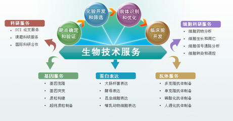 技术研发服务与技术推广 创新价值链的双驱动